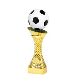 Pokal Fussball RUSSIA